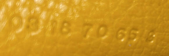 Chloe Nile Crossbody Bag Leather Small #199168C94B - Picture 9 of 9